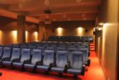 Кіно-конференцзал в 5* готелі "Три сини та донька" смт. Східницяclass="border_green